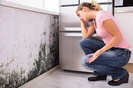 Best Residential Mold Inspection & Testing in Gray Summit, MO